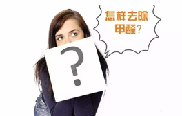 幾種室內(nèi)除甲醛的方法？