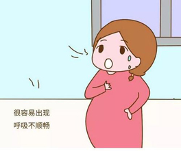 對(duì)準(zhǔn)媽媽來說室內(nèi)空氣質(zhì)量也是考慮的一部分